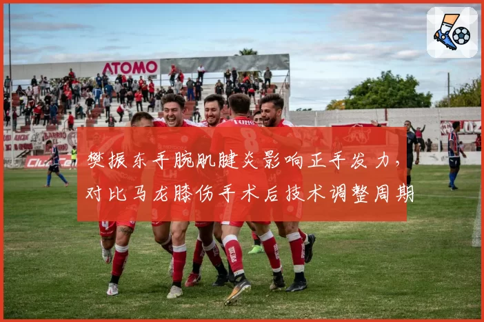樊振东手腕肌腱炎影响正手发力，对比马龙膝伤手术后技术调整周期更短