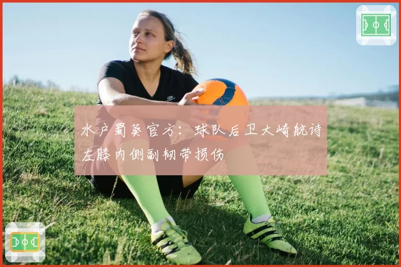 水户蜀葵官方:球队后卫大崎航诗左膝内侧副韧带损伤