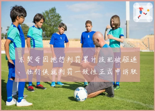 东契奇因抱怨判罚累计技犯被驱逐，独行侠就判罚一致性正式申诉联盟