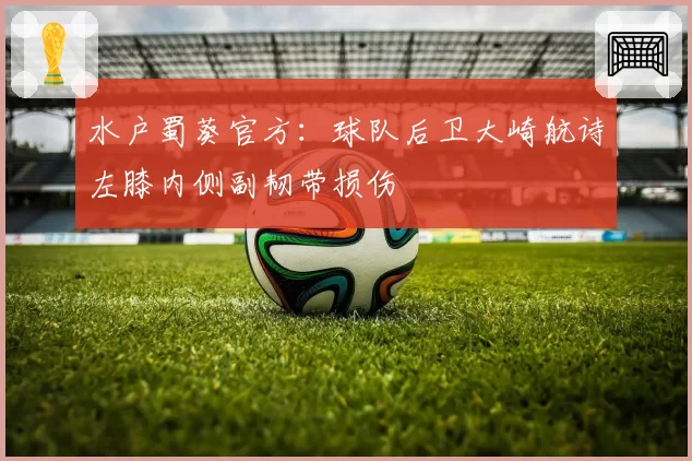 水户蜀葵官方:球队后卫大崎航诗左膝内侧副韧带损伤