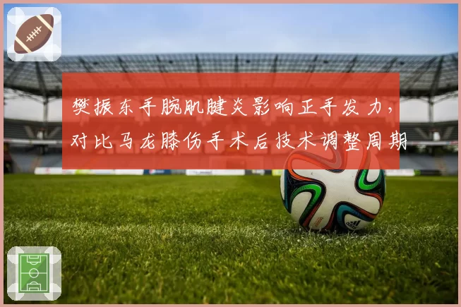 樊振东手腕肌腱炎影响正手发力，对比马龙膝伤手术后技术调整周期更短