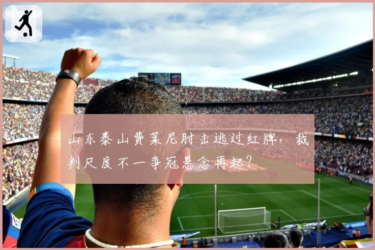 山东泰山费莱尼肘击逃过红牌,裁判尺度不一争冠悬念再起?
