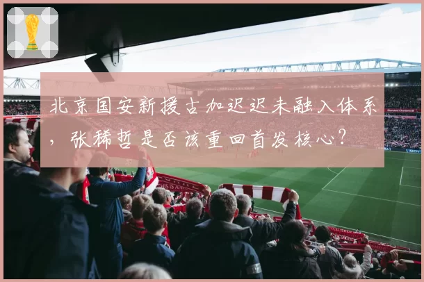 北京国安新援古加迟迟未融入体系,张稀哲是否该重回首发核心?